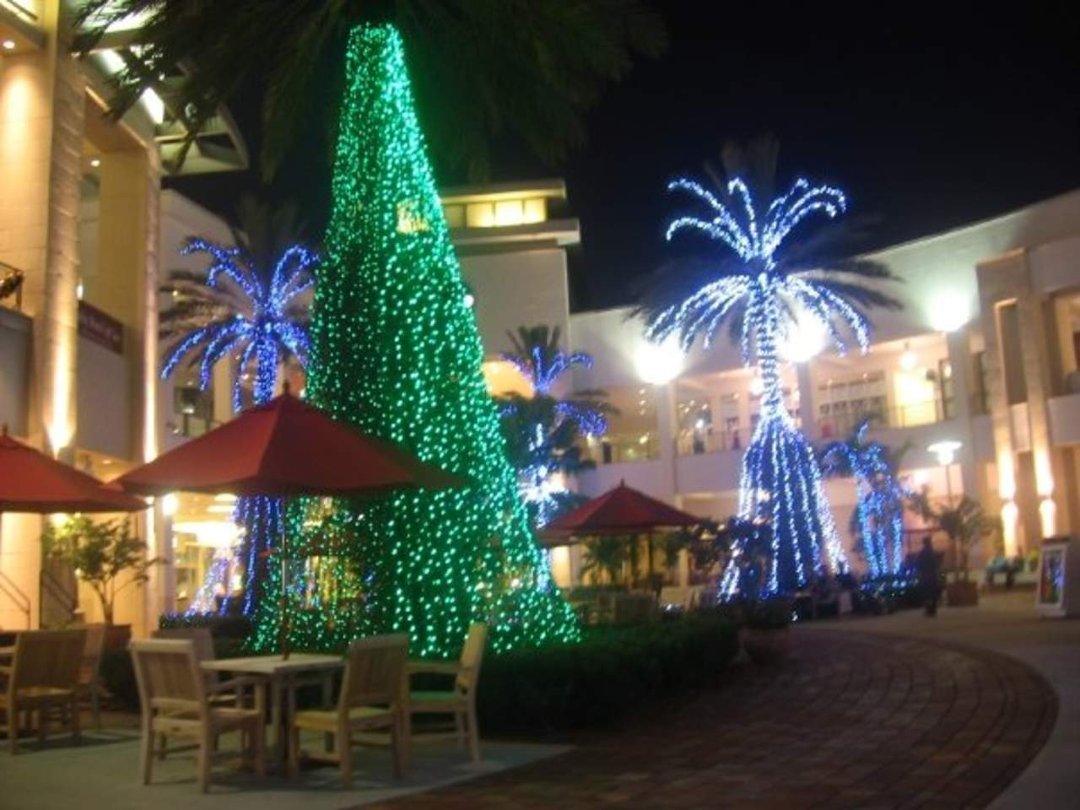 Bret Roberts' album, X-Mas time in Palm Beach Gardens 09'