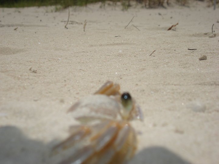 Lee Narwold's album, Turks & Caicos 2010