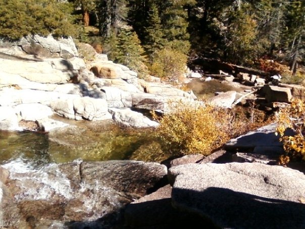 Jeff Brown's album, Fall 2009