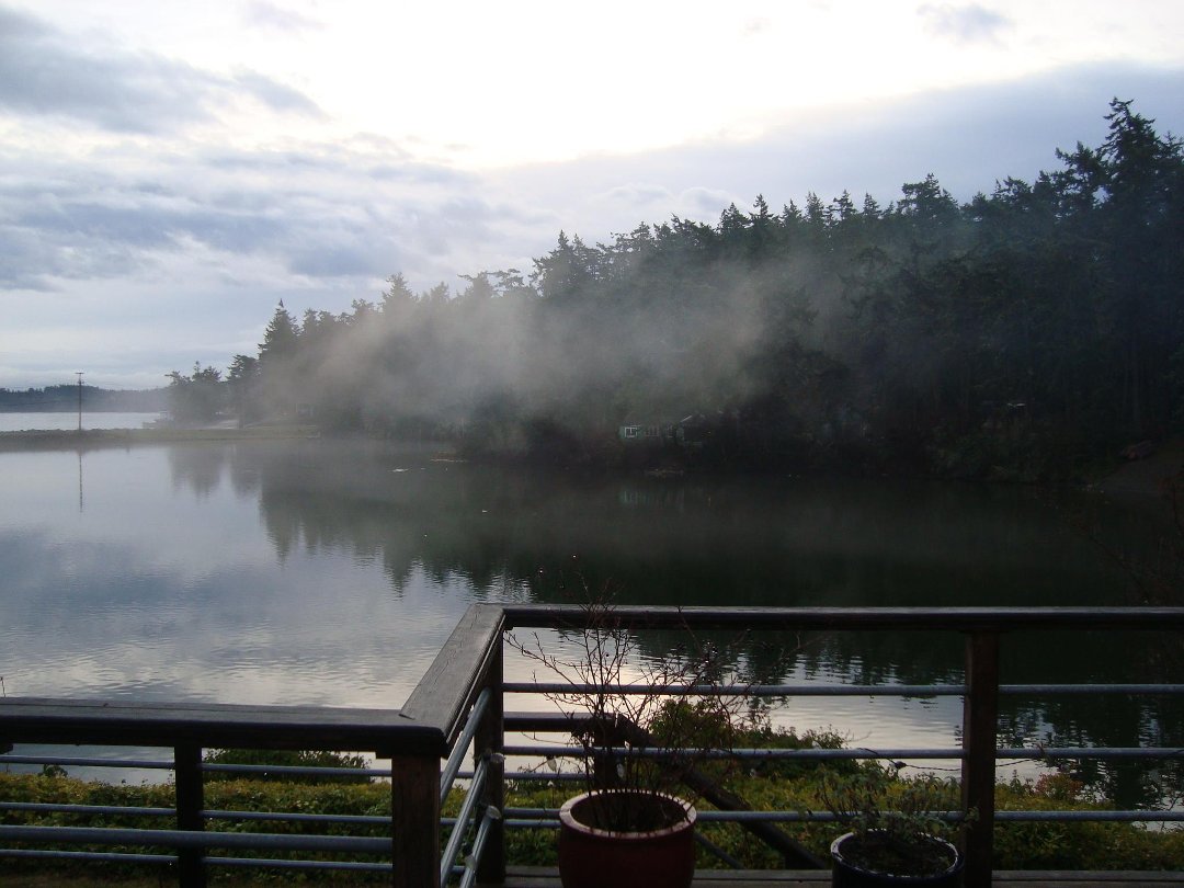 Carrie Cubbage's album, December Whidbey Island