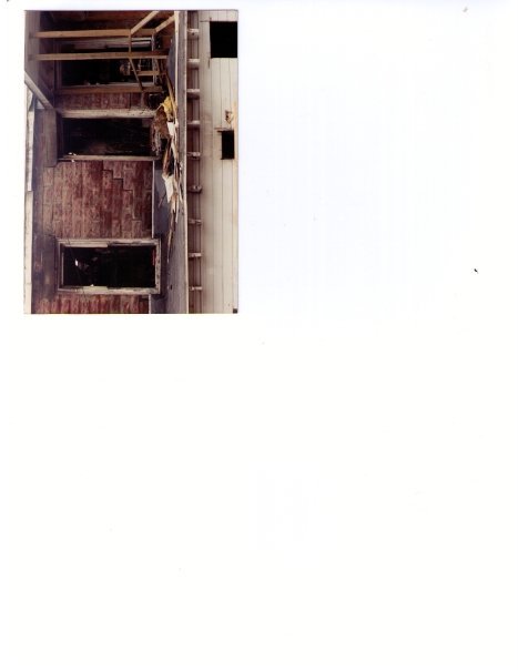 Jay Turner's album, Mackinac Island 1986