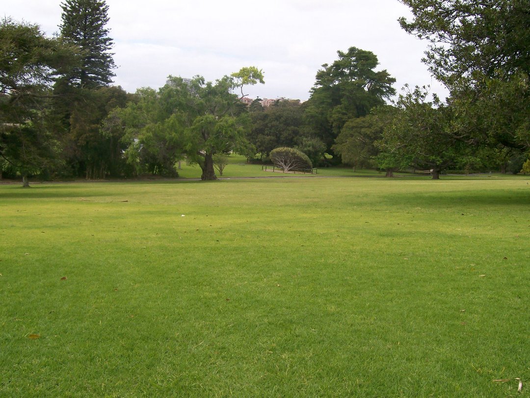 tim flinn's album, sydney1