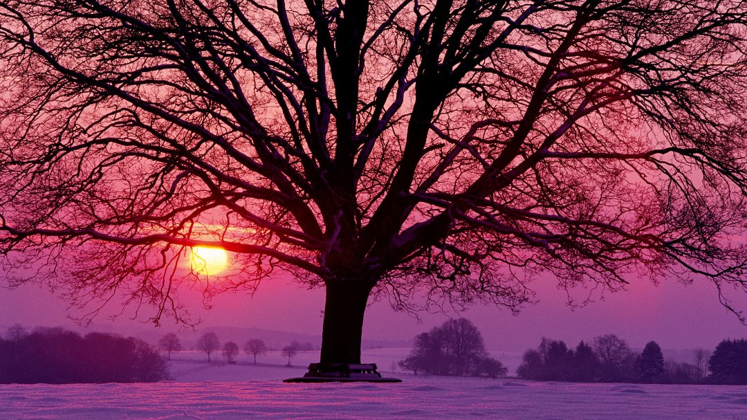 Debbie Lavacki's album, Cover Photos