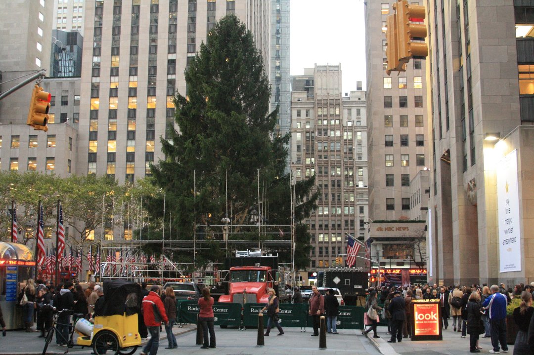 John King's album, 2010 xmas tree pre lights November 11, 2010