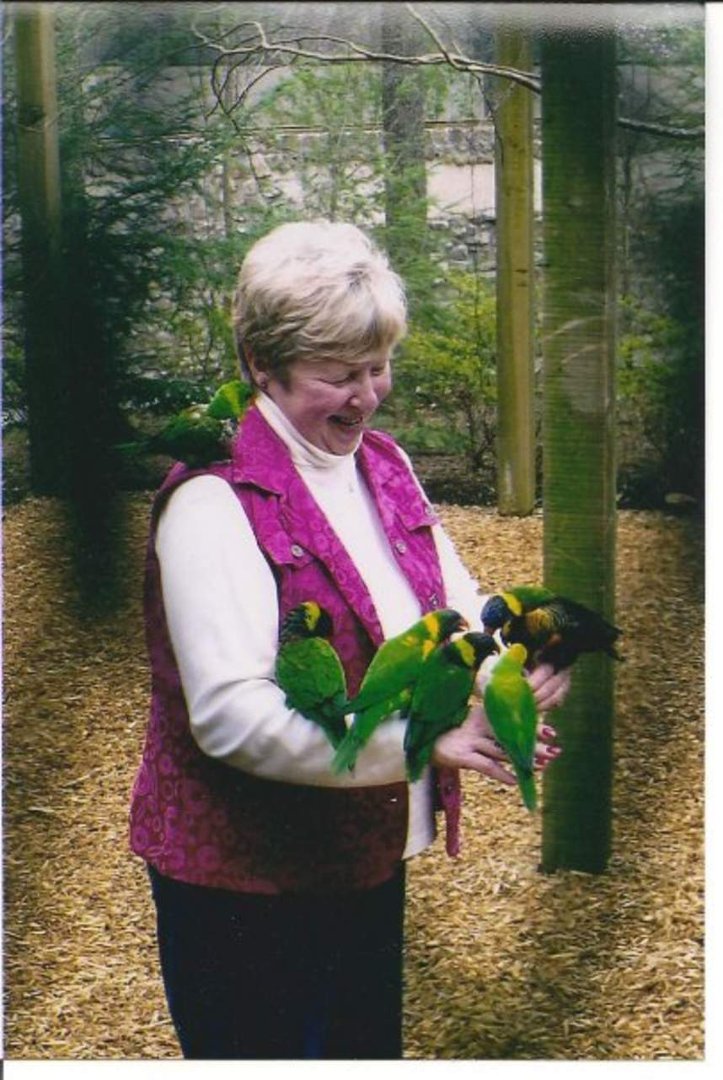Barb Barb Nielsen's album, Profile Pictures
