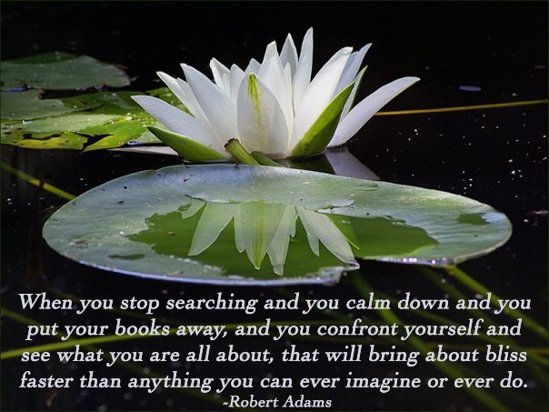 Diane Hamson's album, Timeline Photos