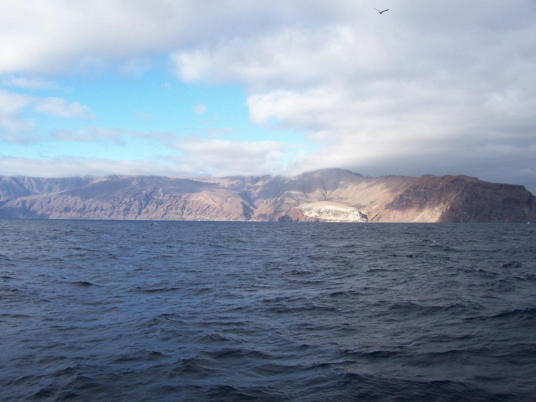 John Ayres' album, Isla Guadalupe