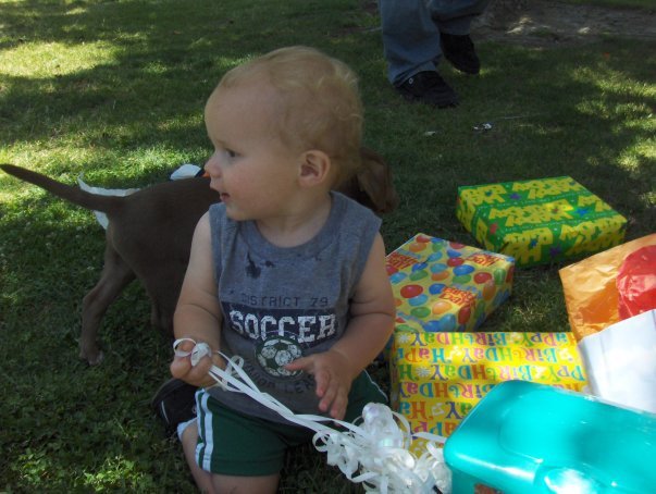 Kari Stringfellow's album, grandsons one year birthday ( daniel Jr)