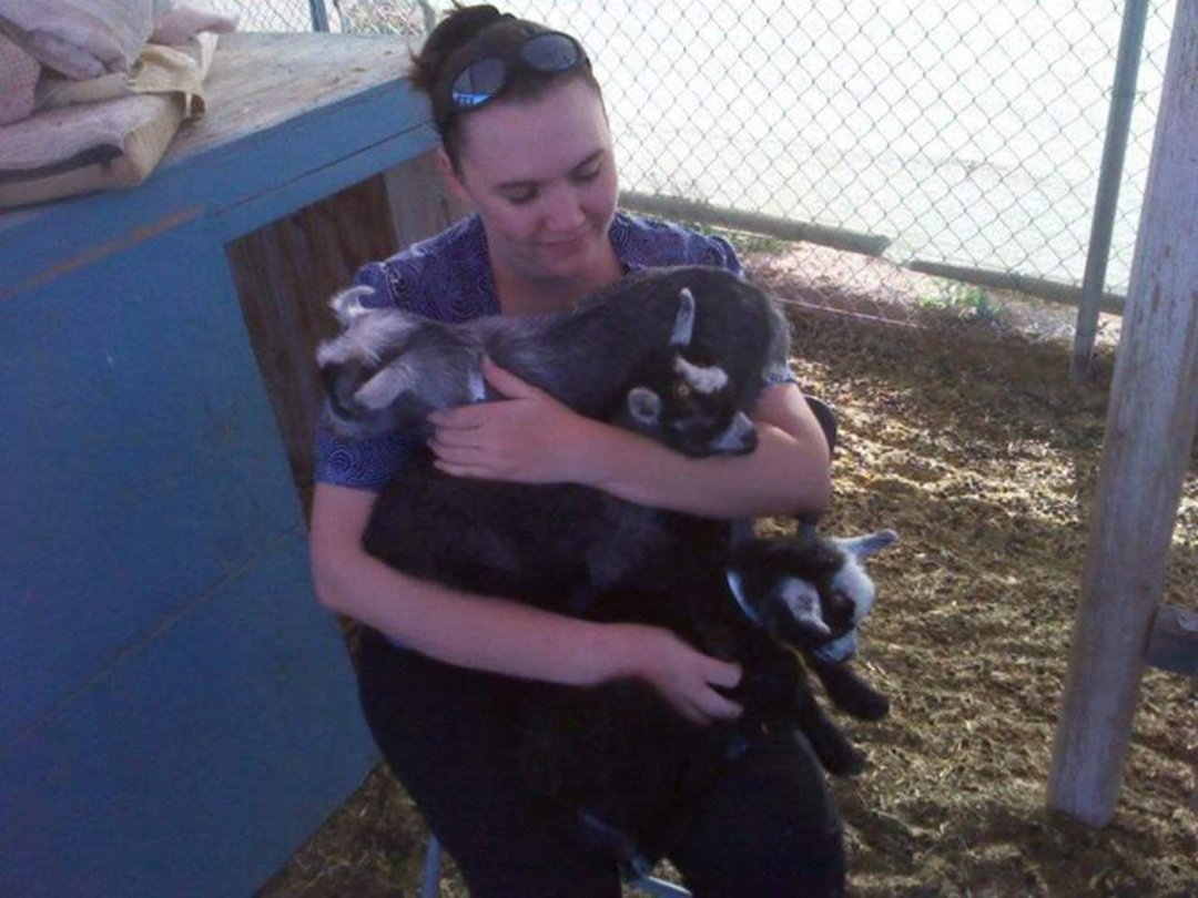 Terri Ellert's album, Baby Goats