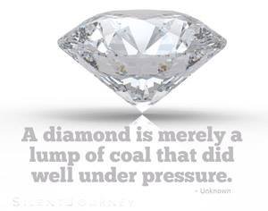 Loretta Cluf's album, Timeline Photos