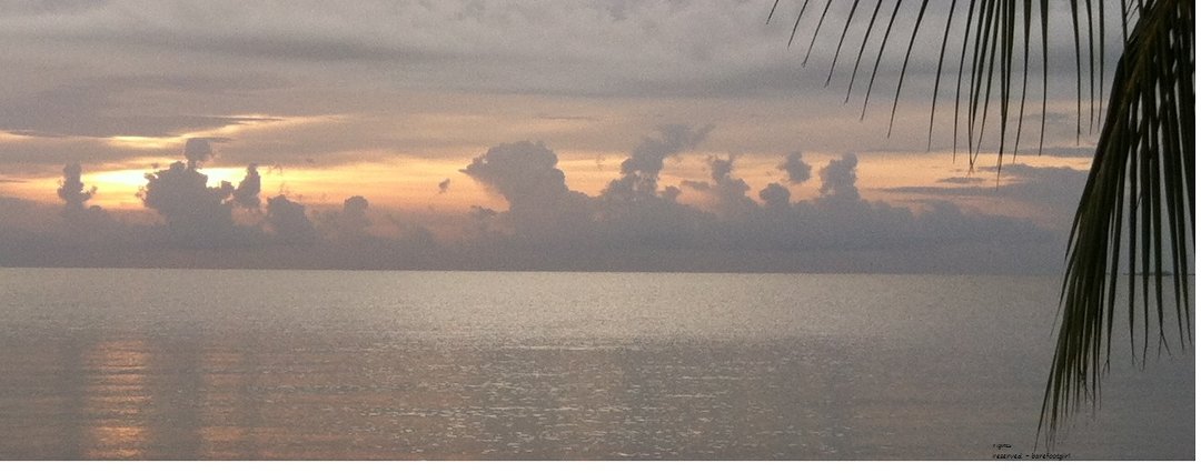 Sandi Simpson's album, Cover Photos