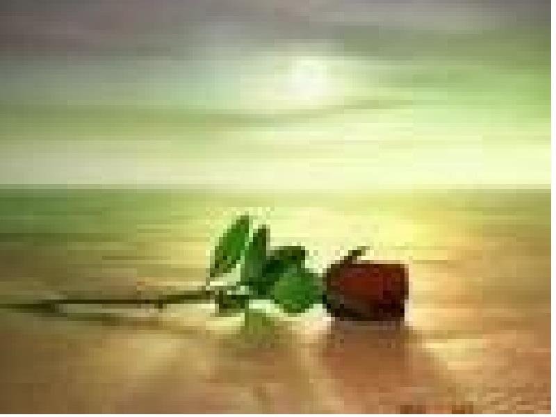 Charlene Tucker's album, Cover Photos
