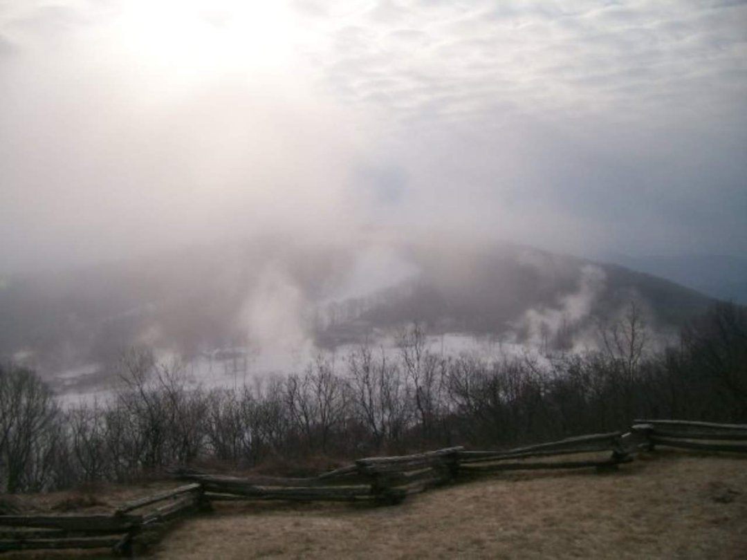 Julia Gallagher's album, Wintergreen pix