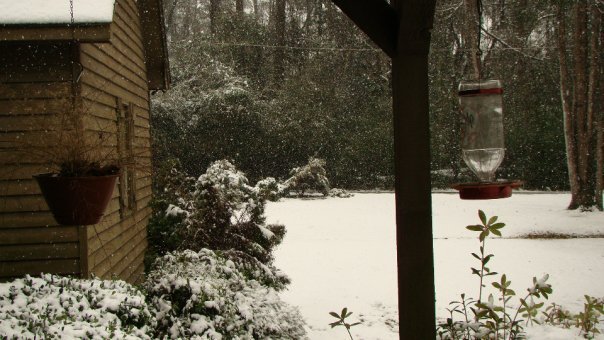 Perry Ballard's album, Snow in Opp Alabama
