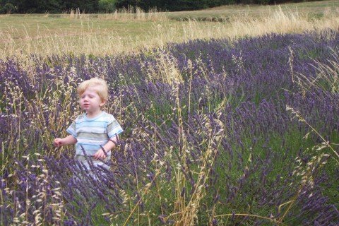 Daniel Clark's album, Timeline Photos