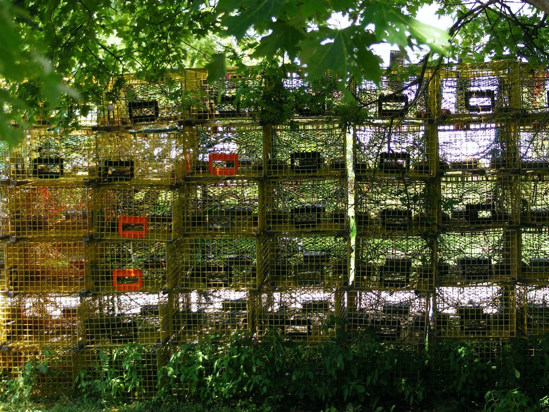 Larry Lovering's album, Untitled Album