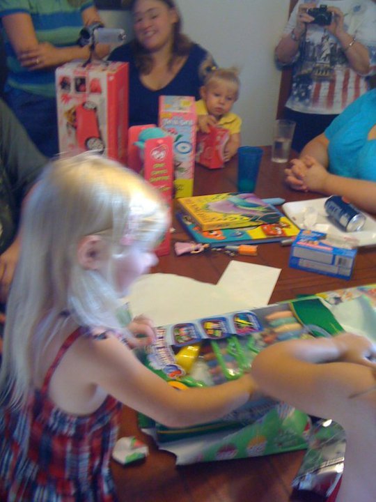 Steve Braune's album, Danielles 4th Birthday
