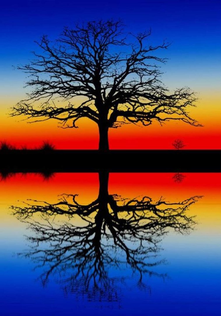 Eric Zeitner's album, Cover Photos