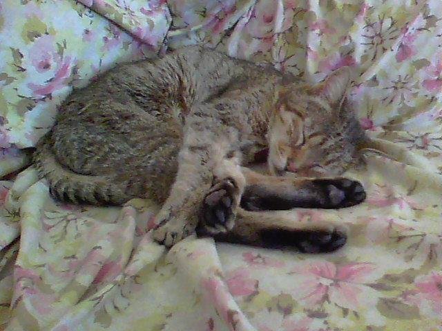 Celeste Atkins' album, Timeline Photos