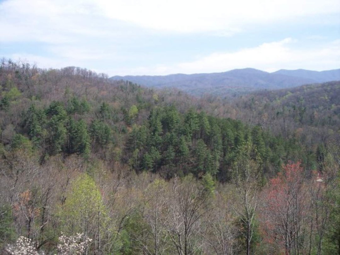 David Bullock's album, Tennessee Tourists