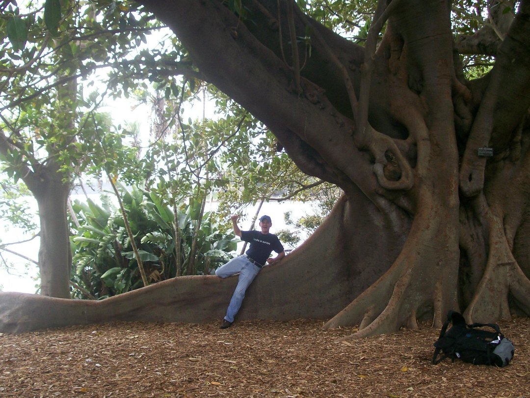tim flinn's album, November 15, 2011