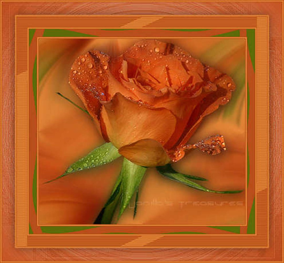 Ruth Lillvik's album, Cover Photos