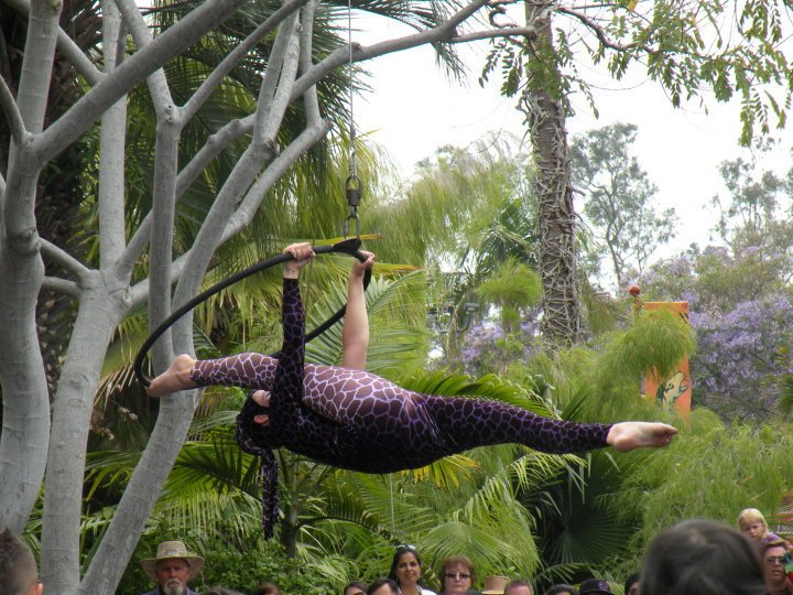 Dana Mathey's album, Seaworld and the Zoo