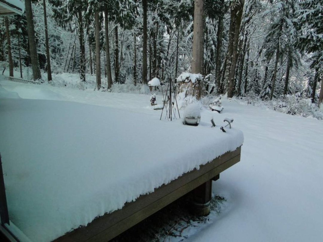Coralee Green's album, Snow 2/2011