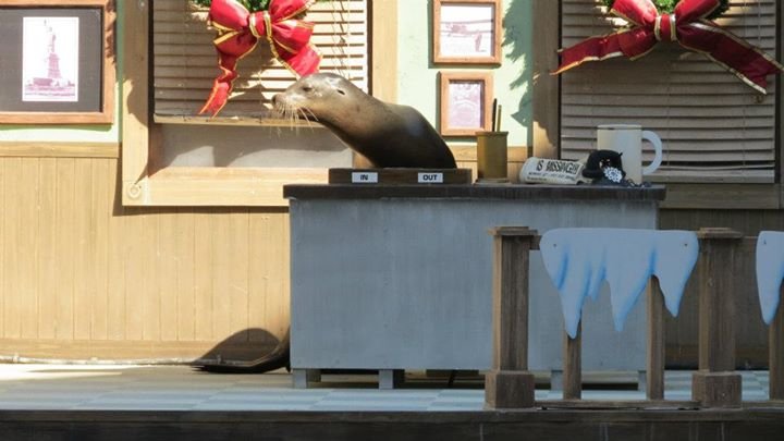 Nancy Smith's album, Untitled Album