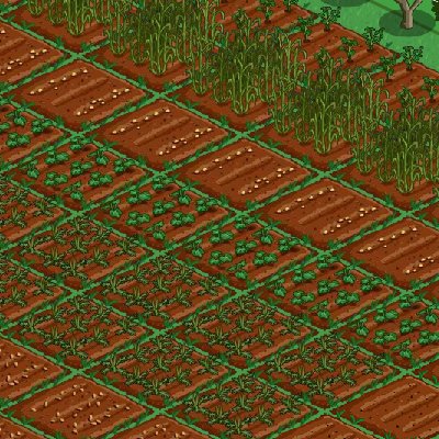 Nick Clute's album, FarmVille Photos