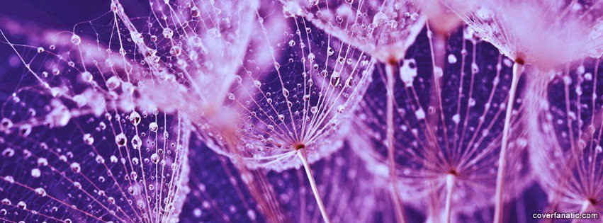 KATHY THOMPSON's album, Cover Photos