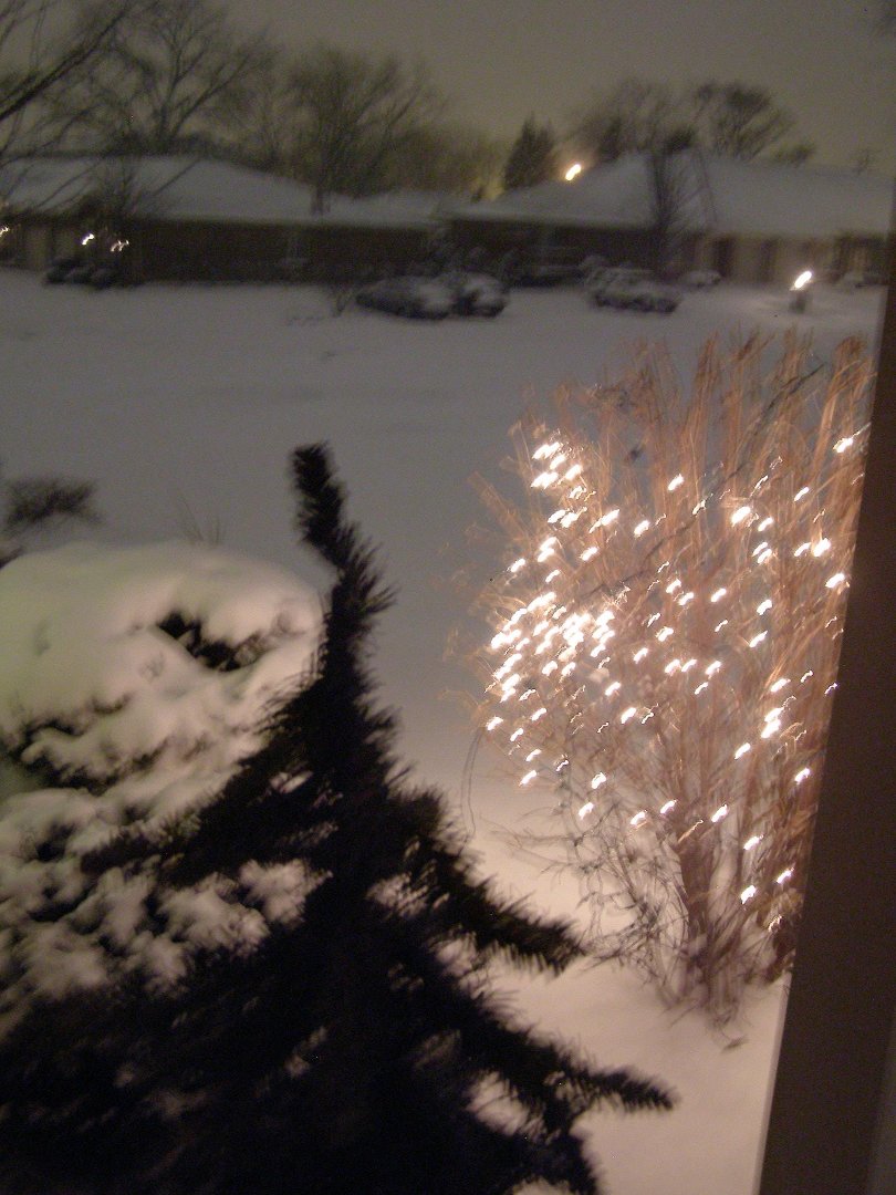 Terry Hornburg's album, winter