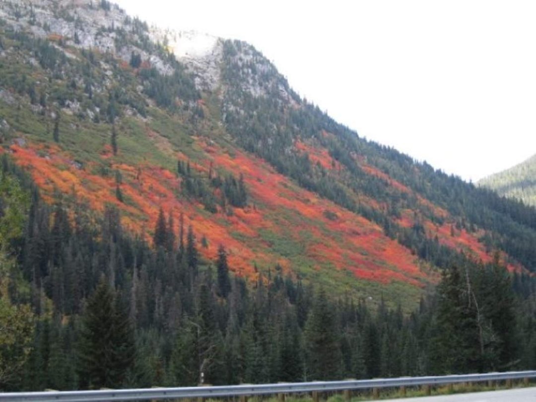 Robin Ask's album, Fall in the NW