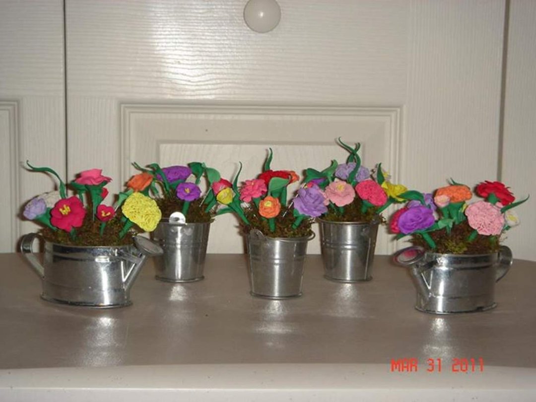 Juanita Reader's album, Cover Photos