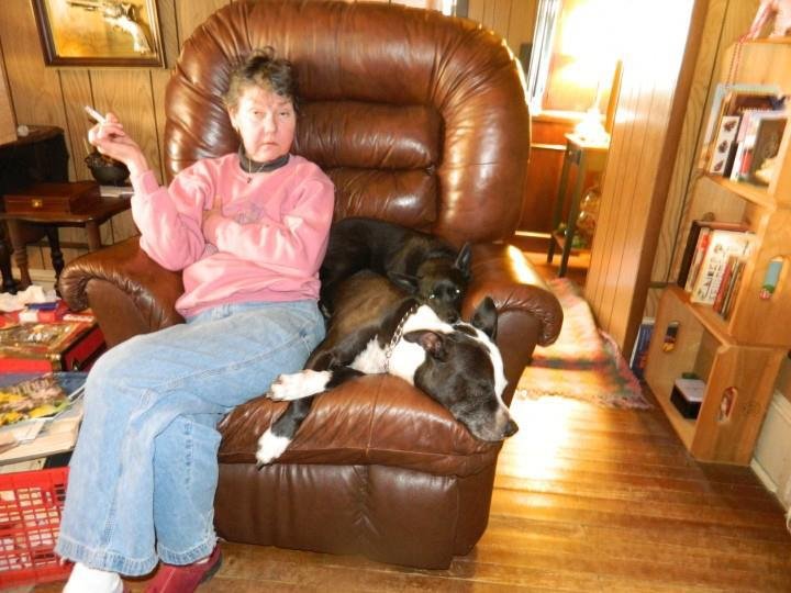 Robert Hughes' album, not a creature was stirring dididahdah
