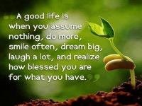 Brian Perkins' album, Timeline Photos