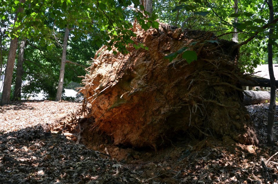Robert Toense's album, Derecho storm of 6/29/2012
