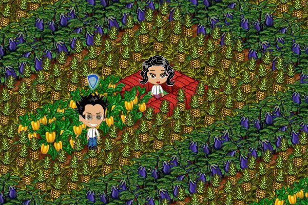 Loriann Wenzel's album, FarmVille Photos