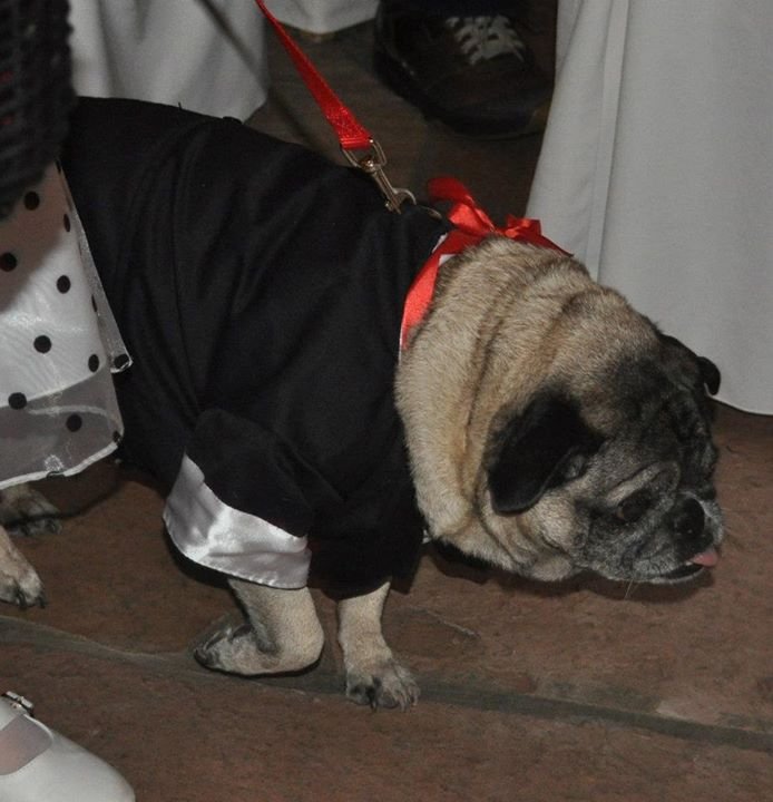 Andrea Goettinger's album, Ian and Rochelle's wedding