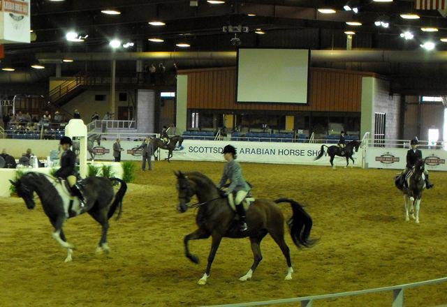 Janice Andersen's album, Arabian Horse Show 2013
