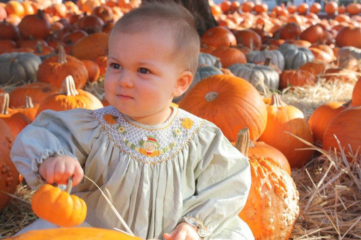 Davis Collins' album, Collins at the Pumpkin Patch