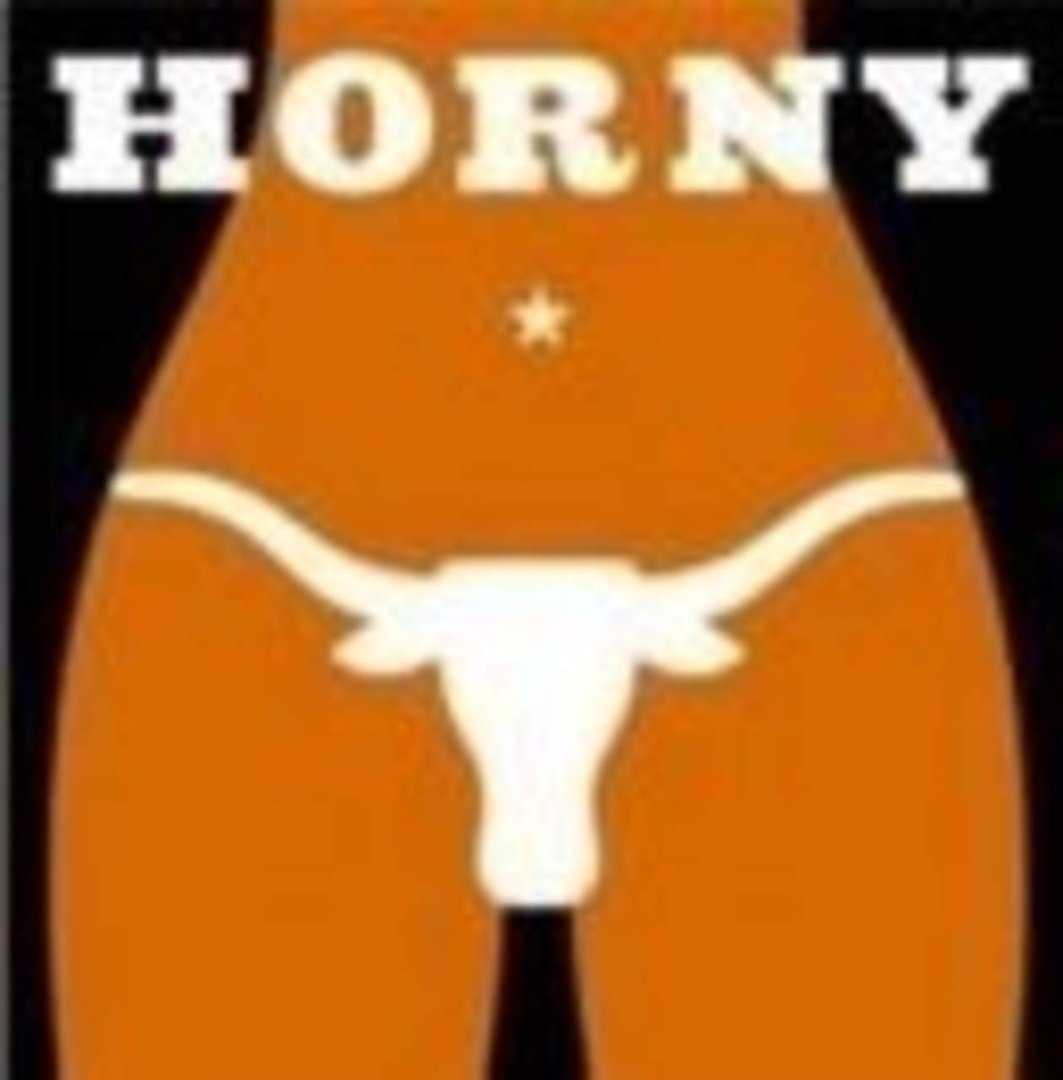 David Bedrich's album, Texas