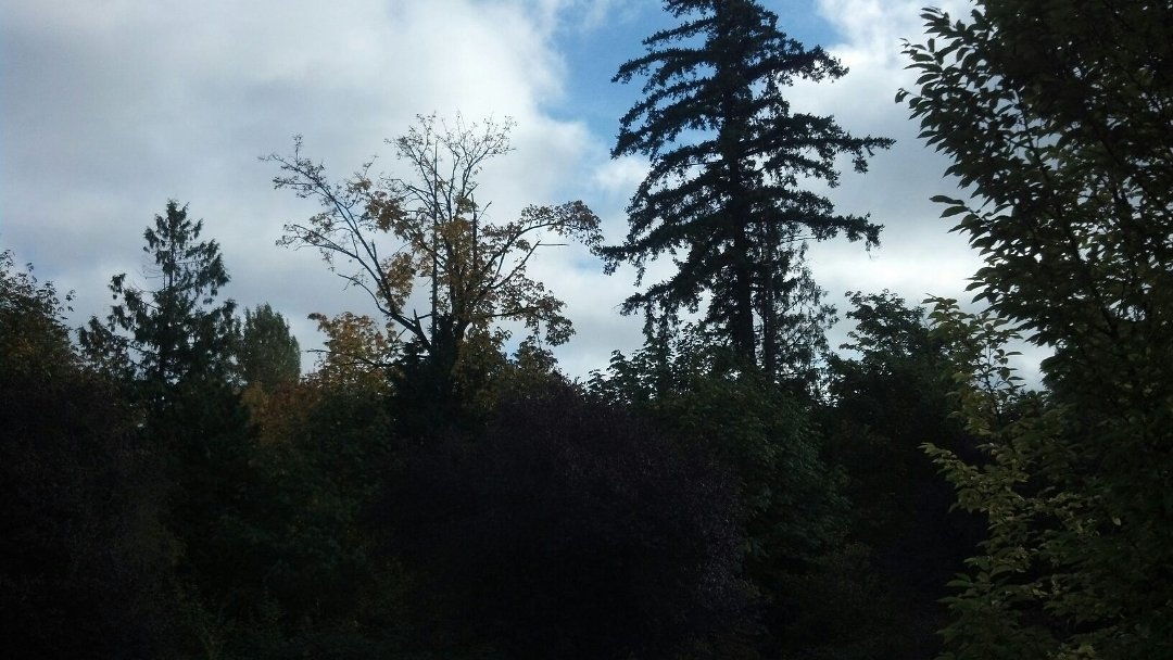 Alan Crews' album, Mobile Uploads