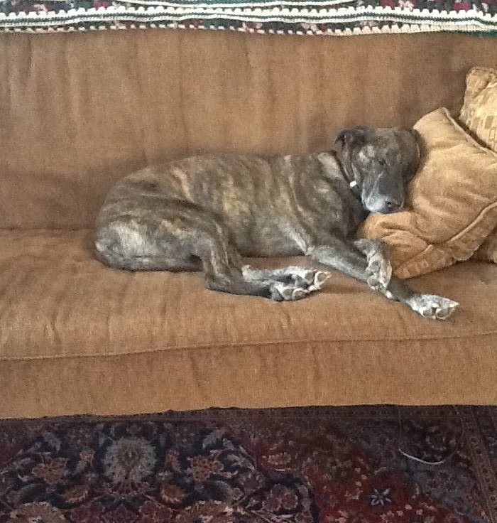 Becky Little's album, Profile Pictures