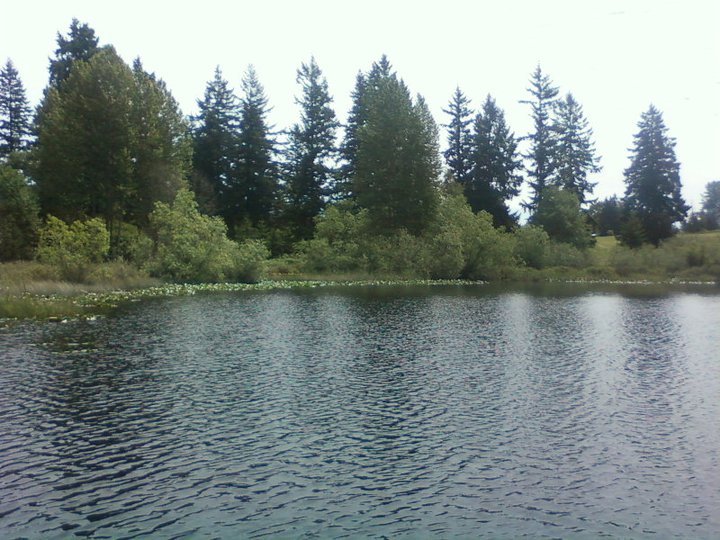 Dwayne Ewy's album, Park Trip June 17, 2011