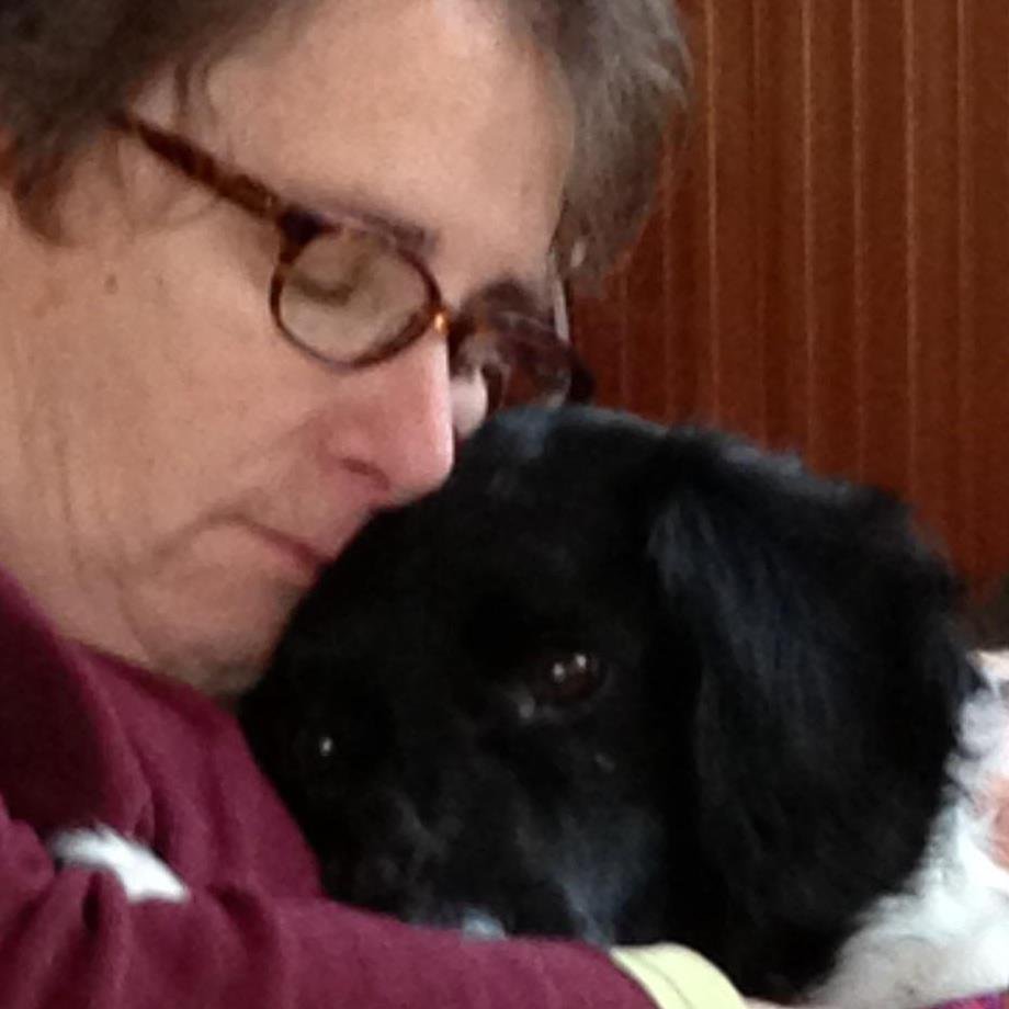 Sandy Steingard's album, Profile Pictures