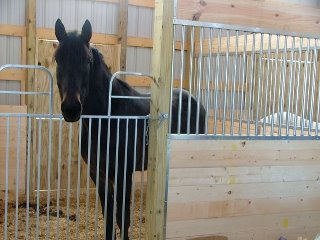 Katy Harvey's album, Barn