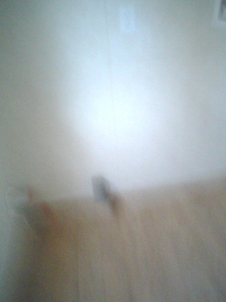 Vicky Oney's album, my new houes