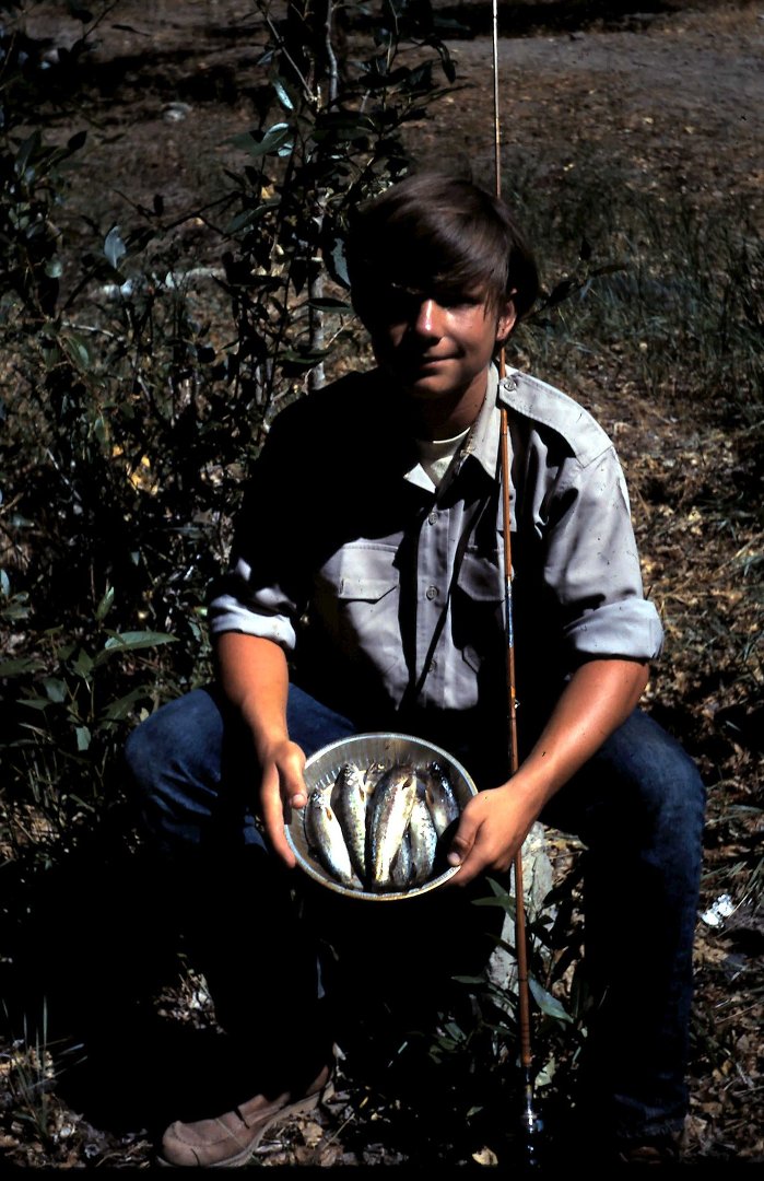 Rick Ulmer's album, Profile Pictures