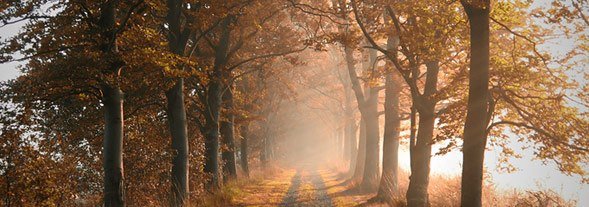 David Hanson's album, Cover Photos